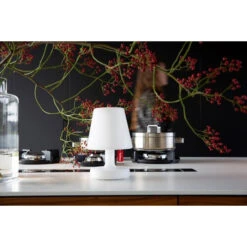 Lampe Fatboy Edison The Petit -Fatboy Boutique 100686 lampe jardin fatboy edison the petit ambiance 2