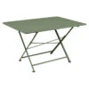 Table De Jardin 6 Personnes FERMOB Cargo 128 X 90 Cm - Cactus -Fatboy Boutique cargo 128x90 cactus 1